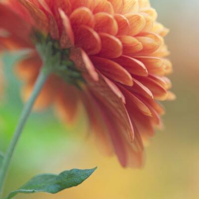 江南官方体育登录入口